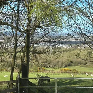  Landhuis Cozy In A Barn With Farm View Ierland